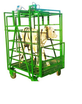 Livestock equipment