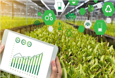 IoT in Agriculture and Animal Husbandry